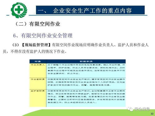 生產(chǎn)經(jīng)營(yíng)單位安全生產(chǎn)檢查 內(nèi)容、程序、方法及網(wǎng)絡(luò)技術(shù)服務(wù)的應(yīng)用